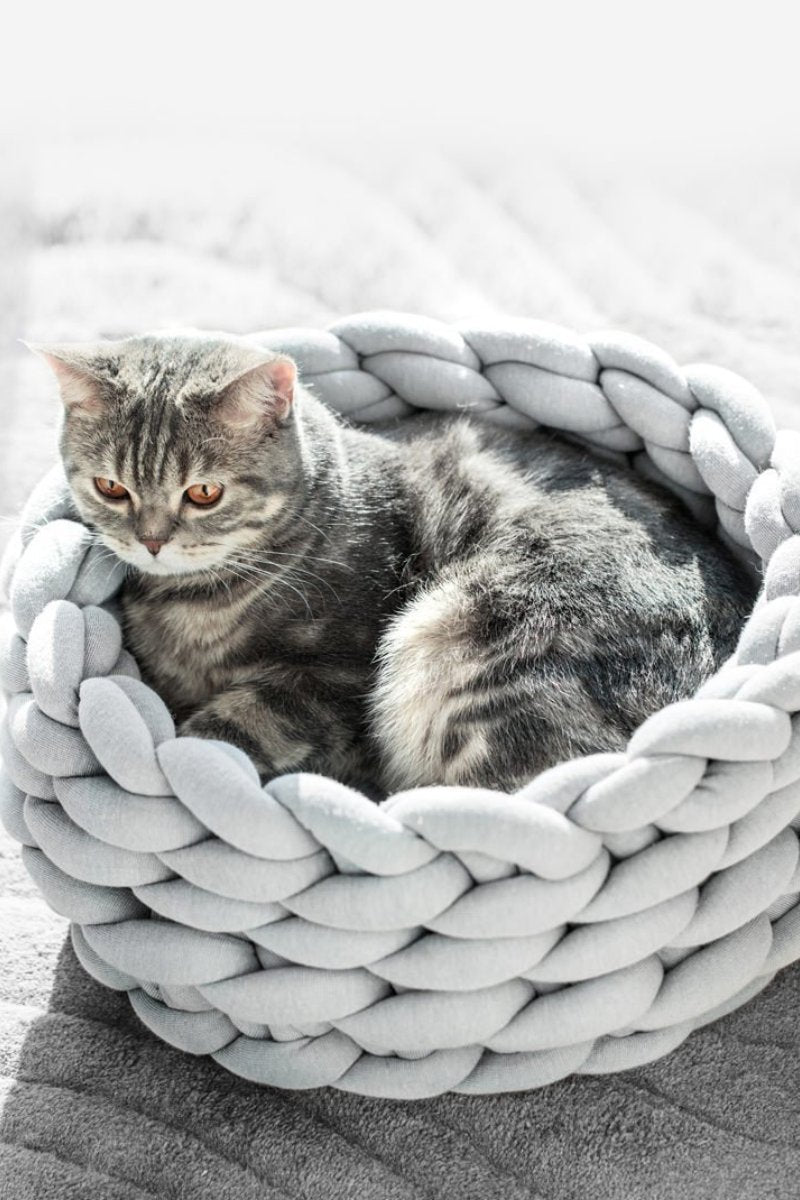 Chunky Cat Basket